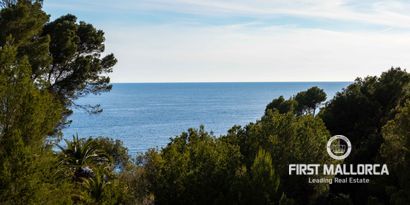 Inmobiliaria picture 22 Ref. Nº. 80978