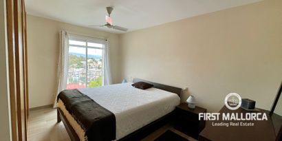 Real Estates picture 8 Ref. 81072