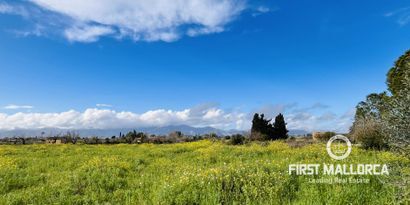 Real Estates picture 3 Ref. Nr. 78813