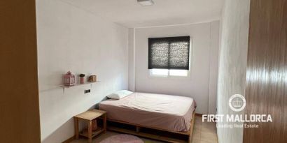 Real Estates picture 2 Ref. 81715