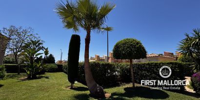 Inmobiliaria picture 22 Ref. Nº. 81716