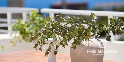 Inmobiliaria picture 27 Ref. Nº. 80501