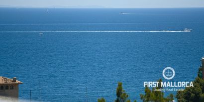 Inmobiliaria picture 5 Ref. Nº. 80501