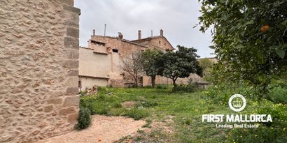 Real Estates picture 10 Ref. 81372