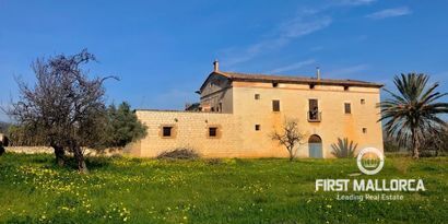 Real Estates picture 0 Ref. 81372