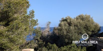 Inmobiliaria picture 15 Ref. Nº. 81806