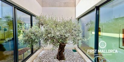 Real Estates picture 2 Ref. 81762