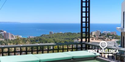 Inmobiliaria picture 4 Ref. Nº. 77167