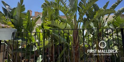 Real Estates picture 21 Ref. 81924