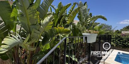 Real Estates picture 20 Ref. 81924