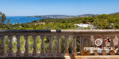 Inmobiliaria picture 0 Ref. Nº. 81935