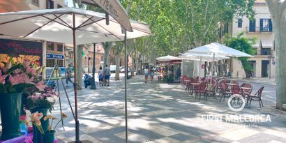 Real Estates picture 0 Ref. Nr. R28008