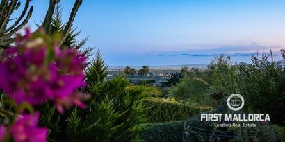 Real Estates picture 7 Ref. 81750