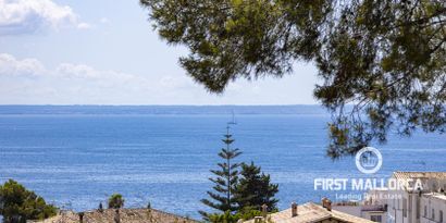 Real Estates picture 1 Ref. 81603