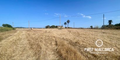 Inmobiliaria picture 11 Ref. Nº. 82118