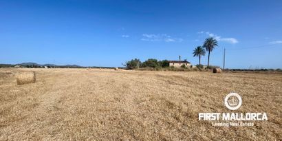 Inmobiliaria picture 3 Ref. Nº. 82118