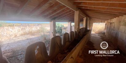 Inmobiliaria picture 8 Ref. Nº. 82118