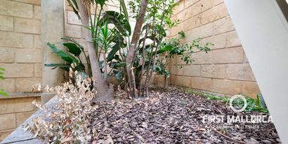 Inmobiliaria picture 9 Ref. Nº. 74314