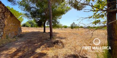 Inmobiliaria picture 1 Ref. Nº. 82109