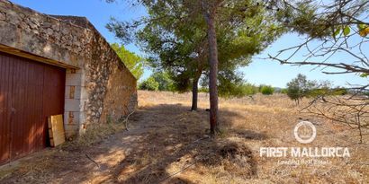 Inmobiliaria picture 3 Ref. Nº. 82109