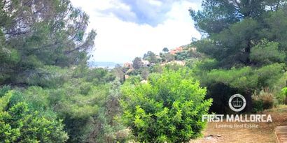 Real Estates picture 14 Ref. 81734