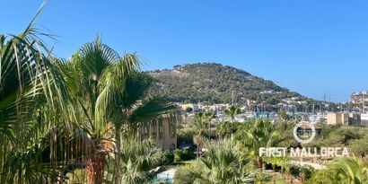 Inmobiliaria picture 11 Ref. Nº. 80240