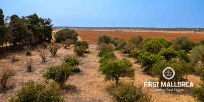 Inmobiliaria picture 29 Ref. Nº. 82113