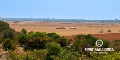 Inmobiliaria picture 7 Ref. Nº. 82113