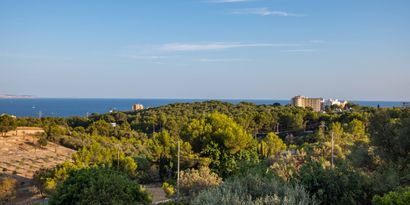 Real Estates picture 28 Ref. 81731