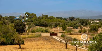 Real Estates picture 2 Ref. 82231