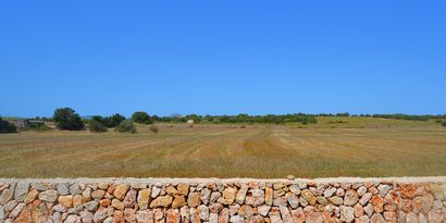 Real Estates picture 1 Ref. 79420