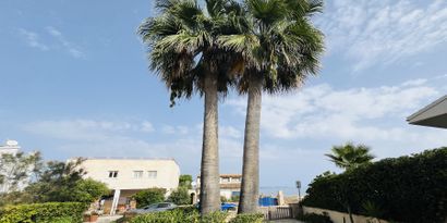 Real Estates picture 14 Ref. Nr. R28318