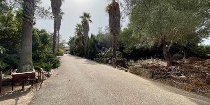 Real Estates picture 2 Ref. 82325