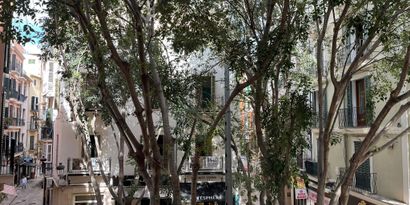 Real Estates picture 8 Ref. Nr. R2490