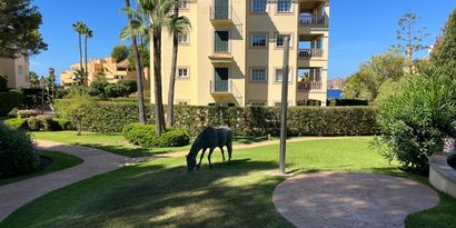 Real Estates picture 13 Ref. R2970