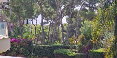 Real Estates picture 2 Ref. 79087