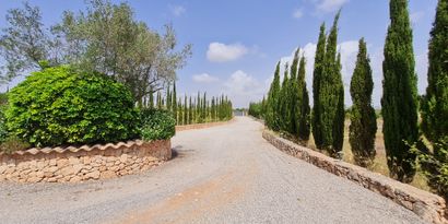 Inmobiliaria picture 33 Ref. Nº. 82339