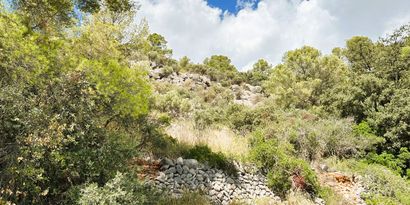 Real Estates picture 4 Ref. Nr. 80580