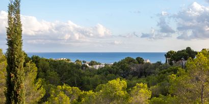 Inmobiliaria picture 2 Ref. Nº. 74076