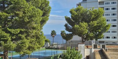 Real Estates picture 15 Ref. R28513