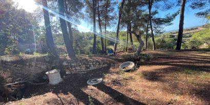 Real Estates picture 1 Ref. 82563