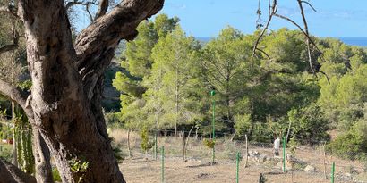 Real Estates picture 2 Ref. 82563