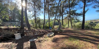 Real Estates picture 3 Ref. 82563