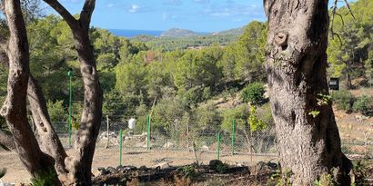 Real Estates picture 5 Ref. 82563