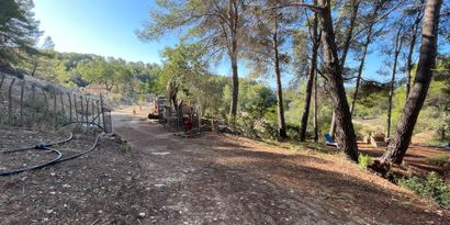 Real Estates picture 4 Ref. 82563