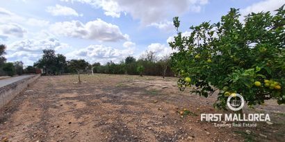 Inmobiliaria picture 11 Ref. Nº. 82519