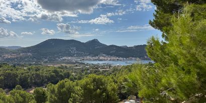 Inmobiliaria picture 0 Ref. Nº. 82441