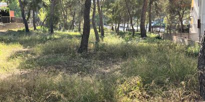 Inmobiliaria picture 5 Ref. Nº. 82192