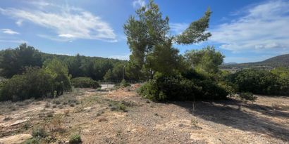 Inmobiliaria picture 0 Ref. Nº. 82571