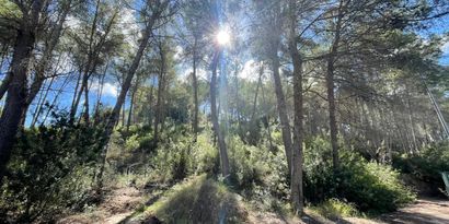 Inmobiliaria picture 1 Ref. Nº. 82450